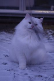 Sally 10.jpg