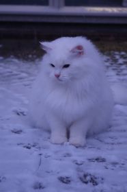 Sally 11.jpg
