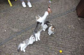 DSC07485.jpg